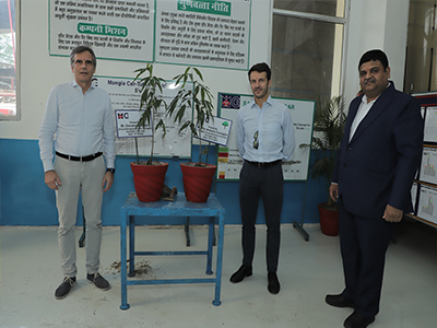 Click to view larger image